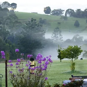 https://la-dolce-vita.queenslandhotels.net